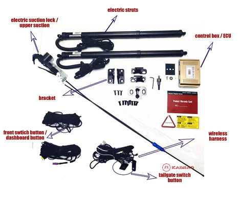 VW Tacqua / T-Cross Automatic Trunk Gate With Intelligentspeed Control And Fault Detection