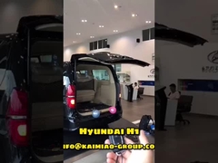 Ascenseur automatique de porte à rabattement arrière de Hyundai H1 avec bipolaire dans le marché des accessoires des véhicules à moteur global